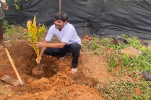 Activity Plant Tree22